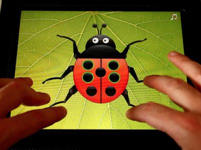 Ladybug Count - Screenshot